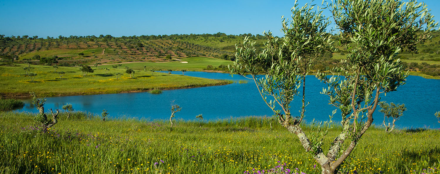 NAU Álamos Golf Course