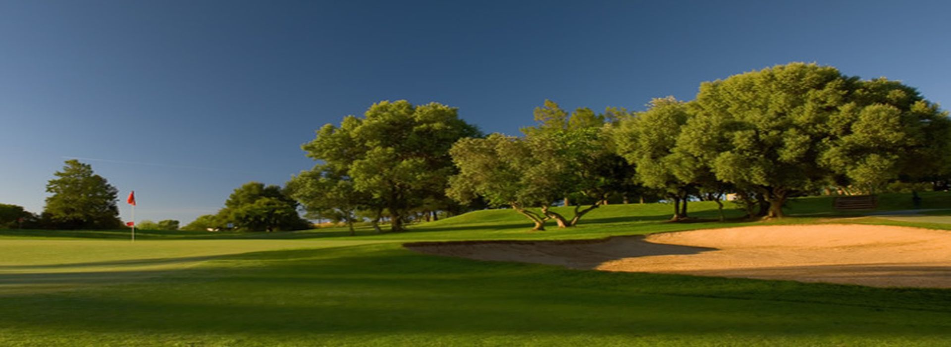 Pestana Alto Golf Course