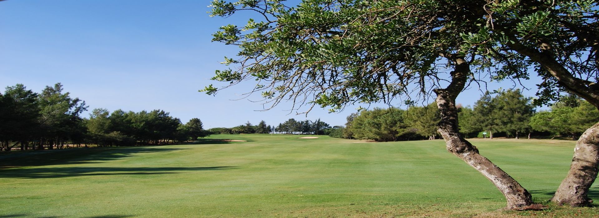 Pestana Alto Golf Course