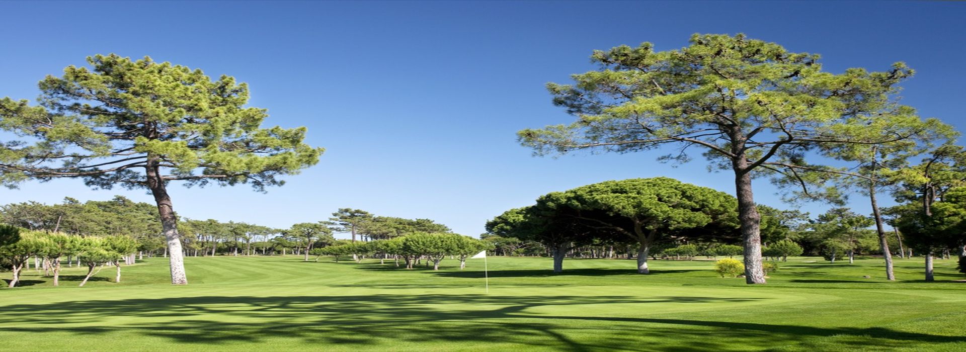 Dom Pedro Old Course