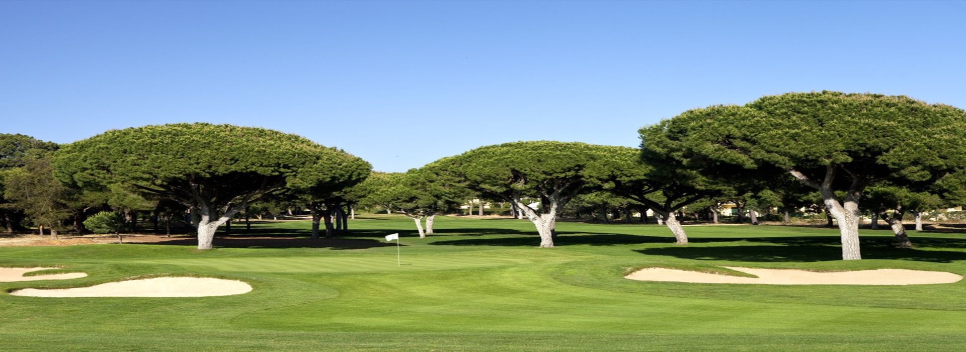 Dom Pedro Pinhal Golf Course