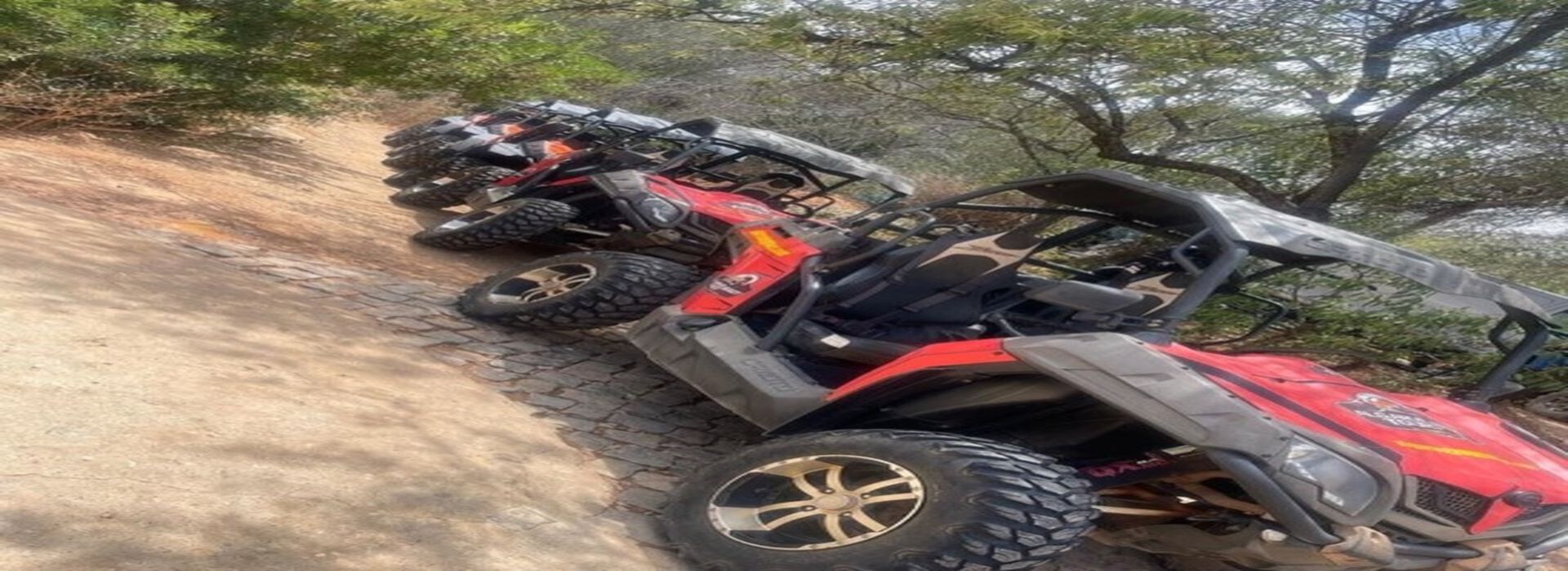 ALGARVE BUGGY TOURS