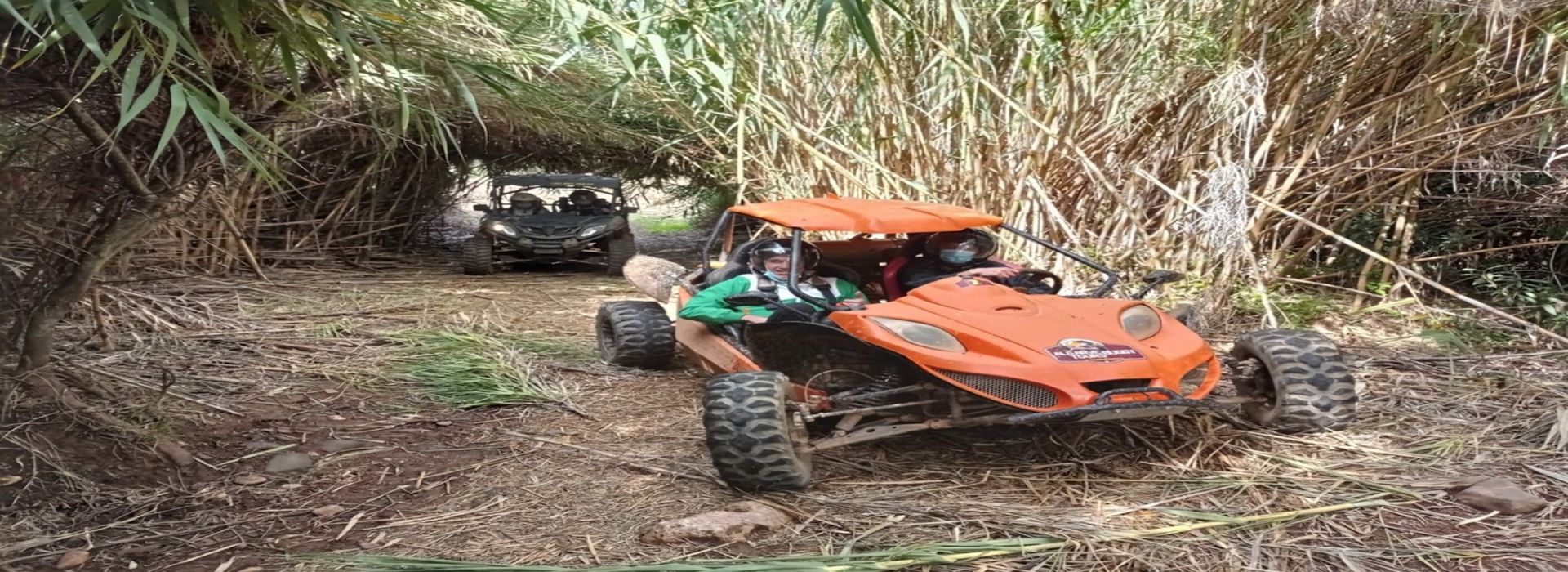 ALGARVE BUGGY TOURS